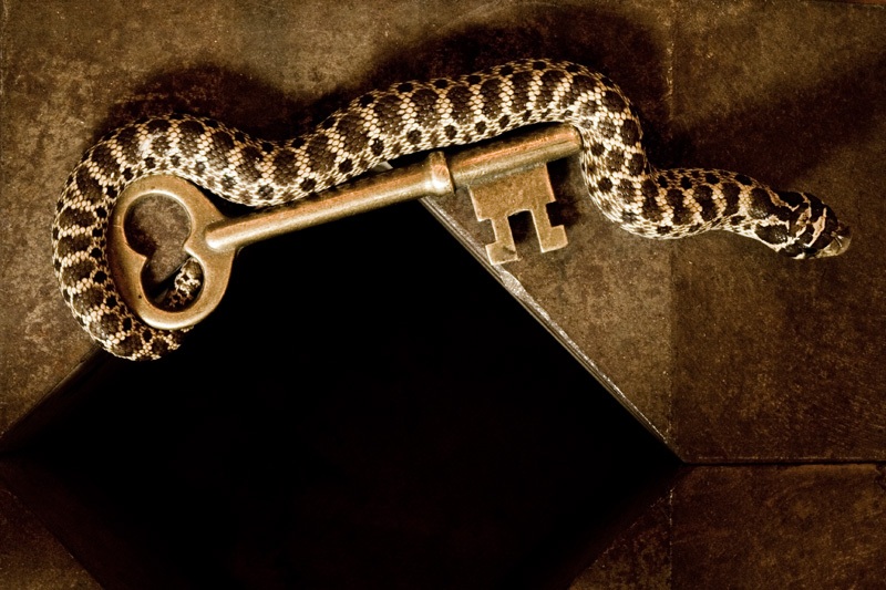 The Golden Key #2