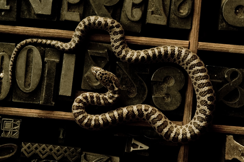 Type