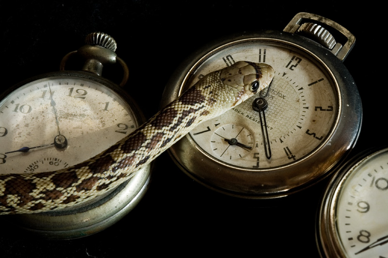 Does Anybody Know What Time It Is?…….