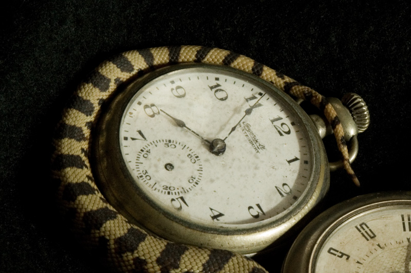 Does Anybody Know What Time It Is?……. #2