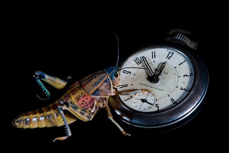 Does Anybody Know What Time It Is?……. #3