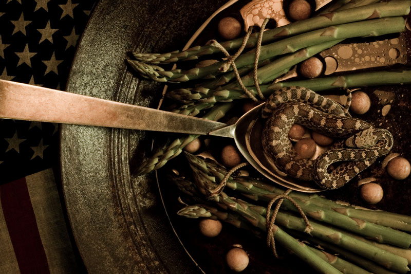 Untied Stalks of Asparagus Soup