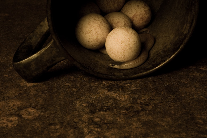 Toppled #5