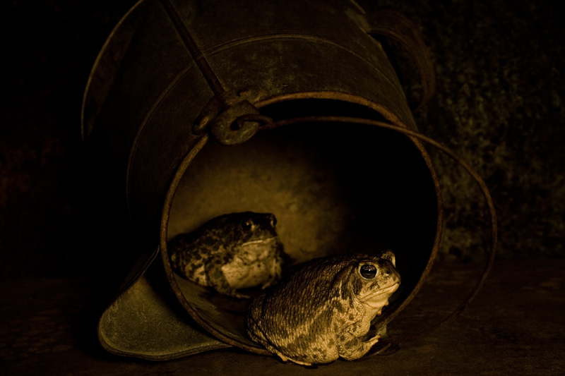 Toppled #6