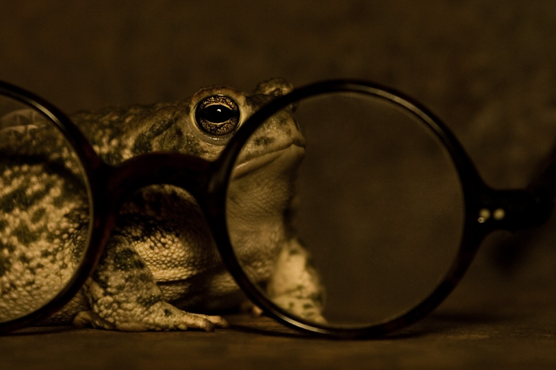 Spectacles #5