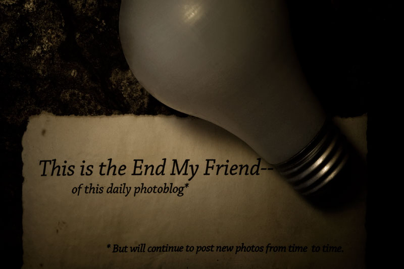 The End My Friend