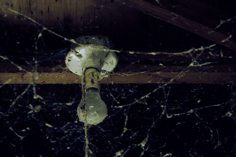 In Grandma’s Attic