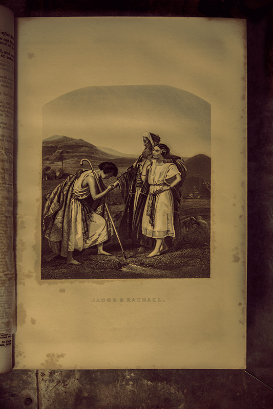 The Cottage Bible #3: Jacob and Rachel