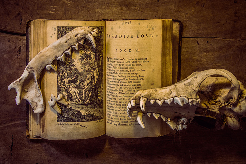 Milton: Paradise Lost: Book 7