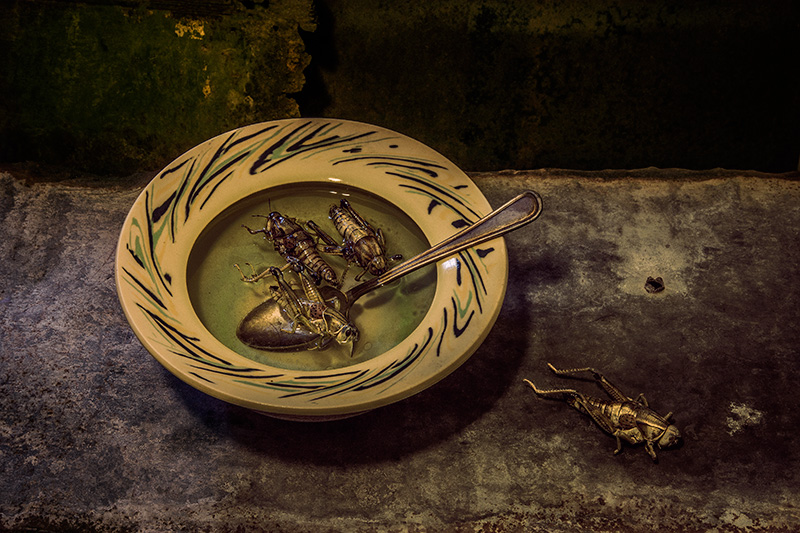 Grasshopper Soup