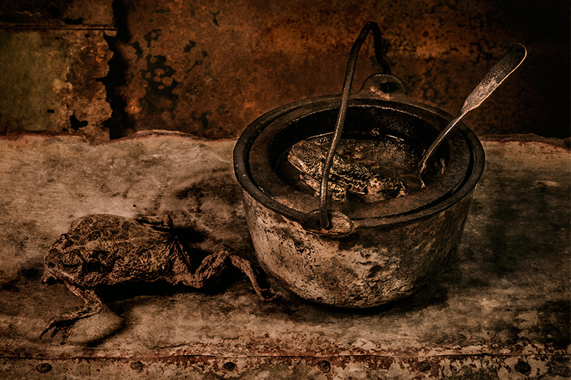 Toad Soup