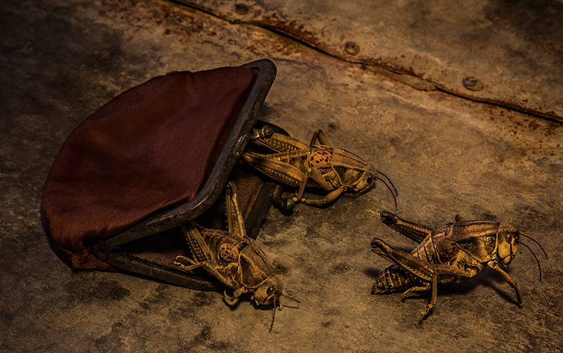 Out of the Red Silk Purse