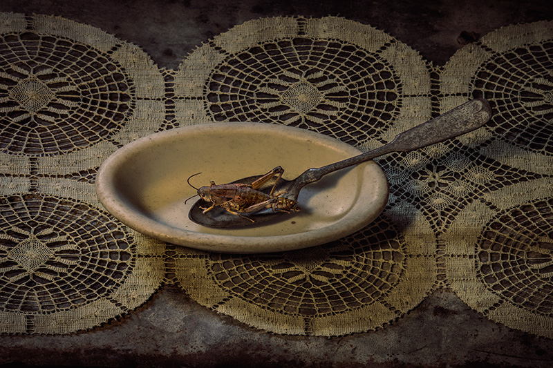 Morsel #29