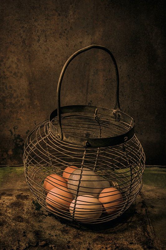 Five Eggs and One Bulb
