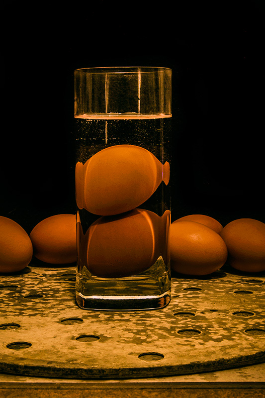 Numbers Series #5: Two Submerged Eggs