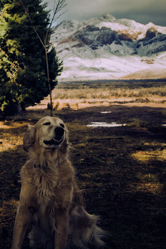 Boone Again