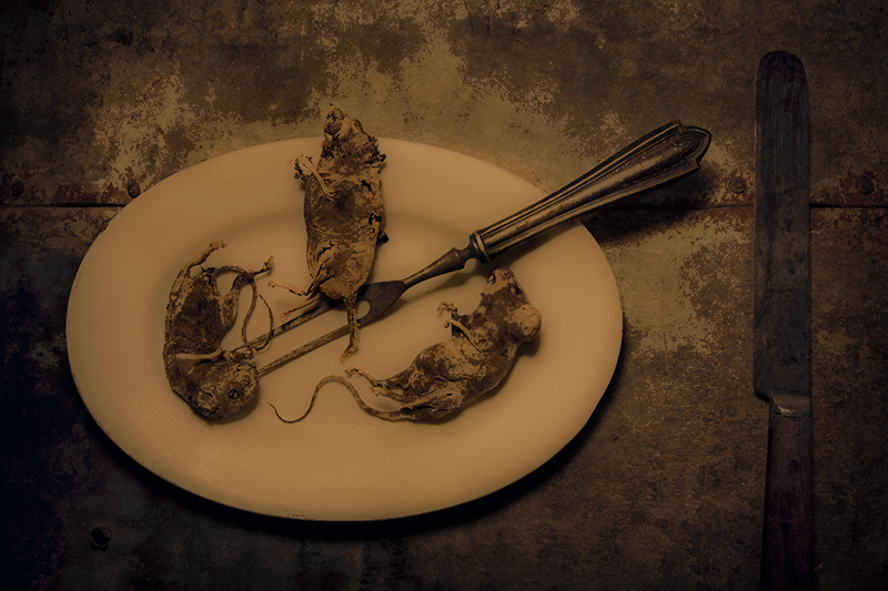 Evening Meal: Three Blind Mice