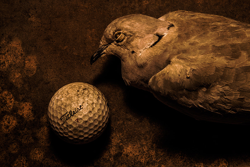 The Dove and the Orb